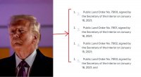 Legal Experts Question AI Role in Trump's Rapid Executive Order Blitz